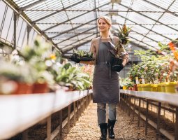 Budowa specjalistycznych hal rolniczych