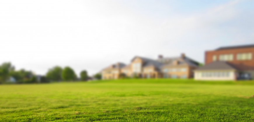 Jak dbać o trawnik?