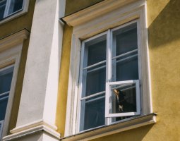 Planujesz zakup nowych okien do domu? Koniecznie przeczytaj!